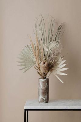 Picture of Dwarf Mini Jade Bonsai Tree - An Elephants Favorite Food