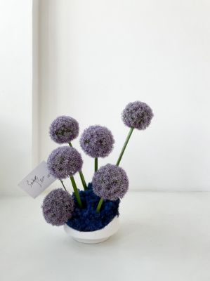 Picture of ROUND TRAY MINI