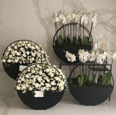 Picture of LOOP / WHITE ORCHIDS